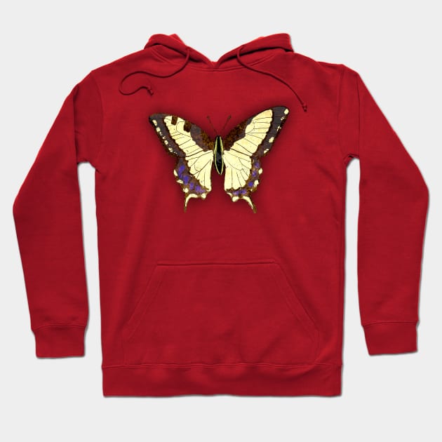 Bugs-8 Papilio Machaon Hoodie by Komigato